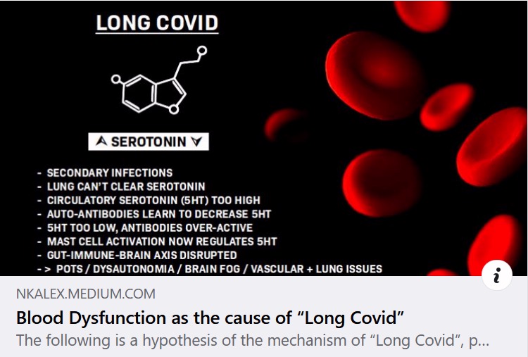 Disruption of Blood Dynamics and Gut-Immune-Brain Axis as the Cause of Long Covid