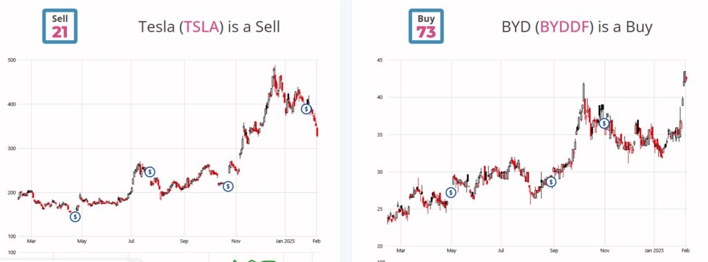 Tesla vs. BYD